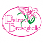 Breseghello Patrizio